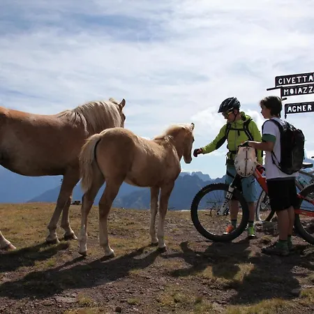 Apartament Casa Al Moro *