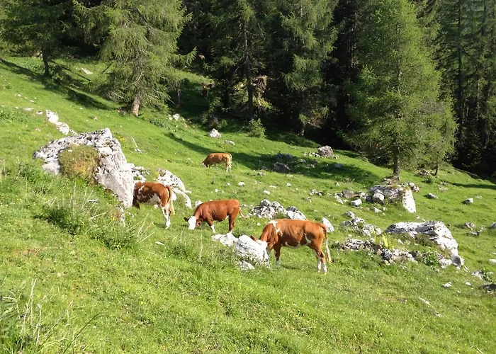 Appartement Casa Al Moro